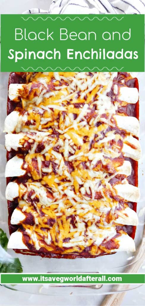 enchiladas in a baking dish with text boxes for recipe title and website name