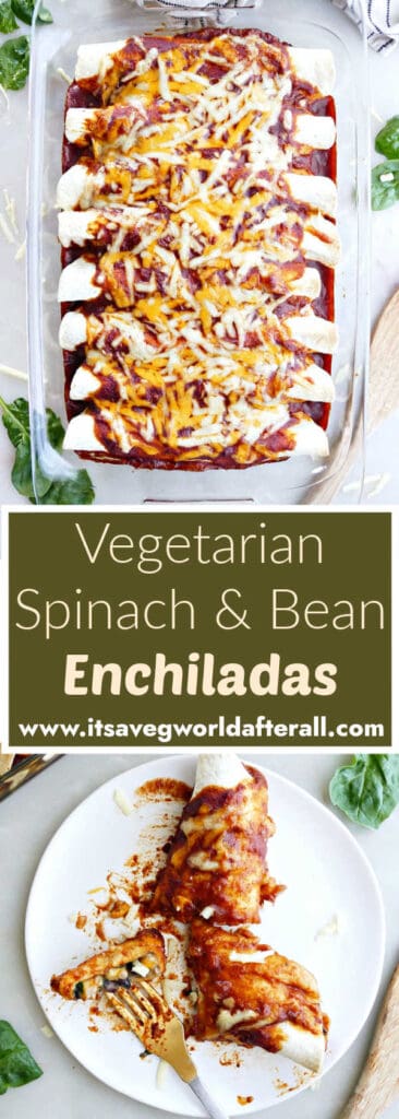 enchiladas in a baking dish and one on a plate separated by text box with recipe name