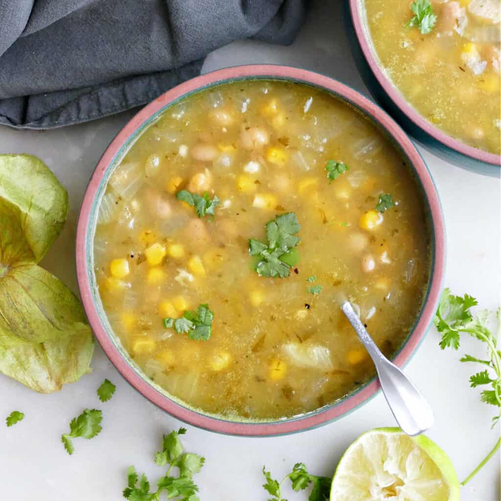 Roasted Tomatillo Soup (Vegetarian) - It's a Veg World After All®