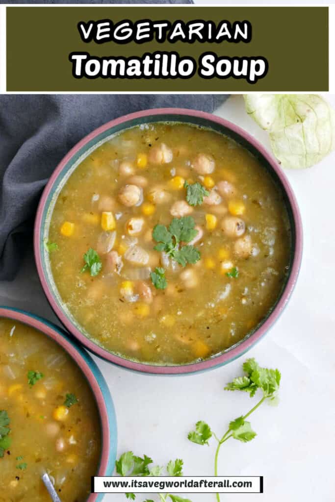 tomatillo soup in a serving bowl with text boxes for recipe name and website