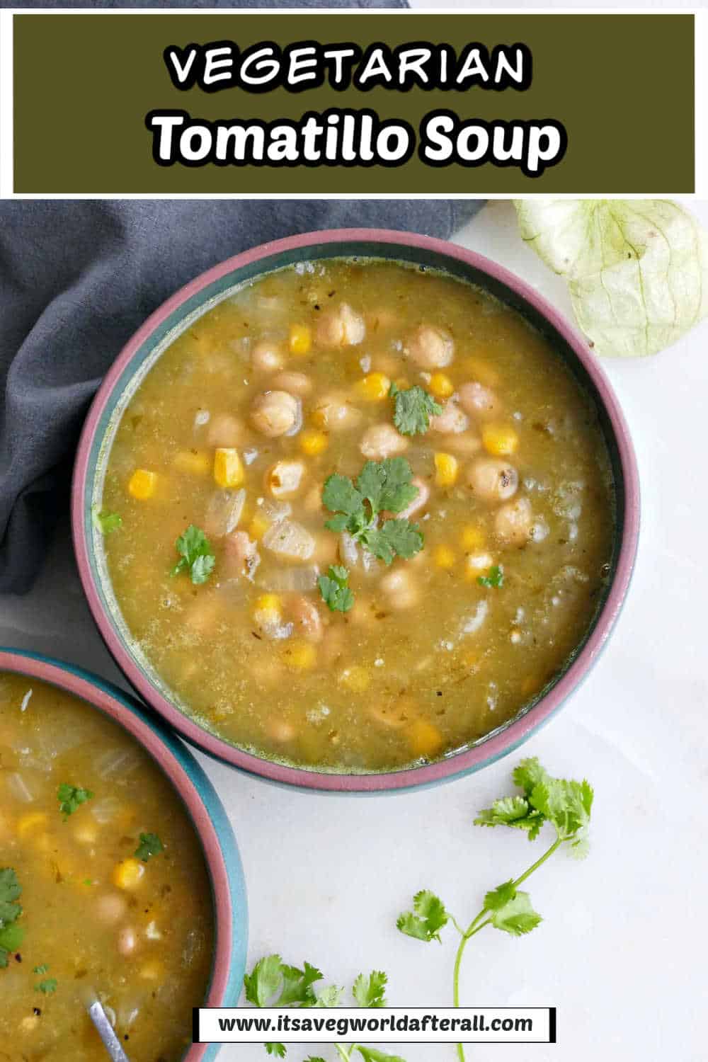 Roasted Tomatillo Soup (Vegetarian) It's a Veg World After All®