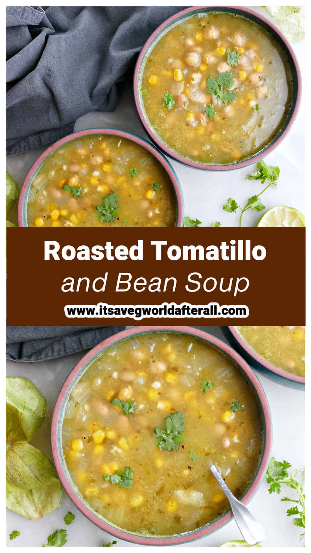 Roasted Tomatillo Soup (Vegetarian) It's a Veg World After All®