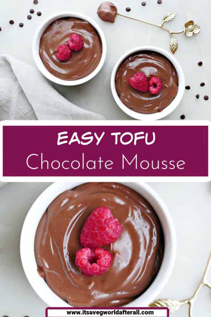 bowls of chocolate protein mousse on a counter with text boxes for recipe name and website
