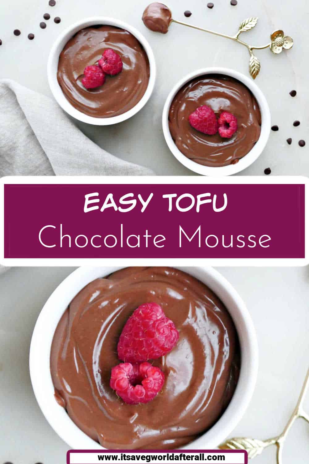 Protein Chocolate Mousse (with Tofu) It's a Veg World After All®