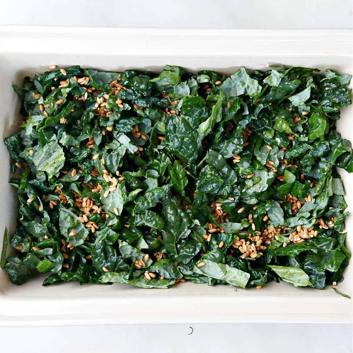 chopped kale and uncooked pearled farro in a casserole dish