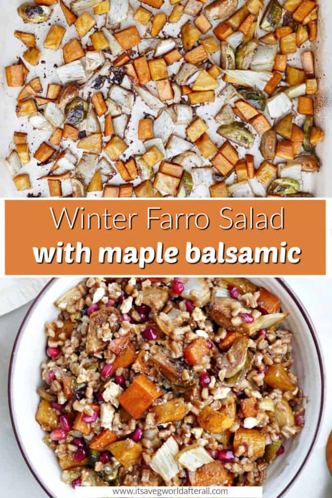 winter vegetables on a baking sheet and farro salad in a bowl separated by text box