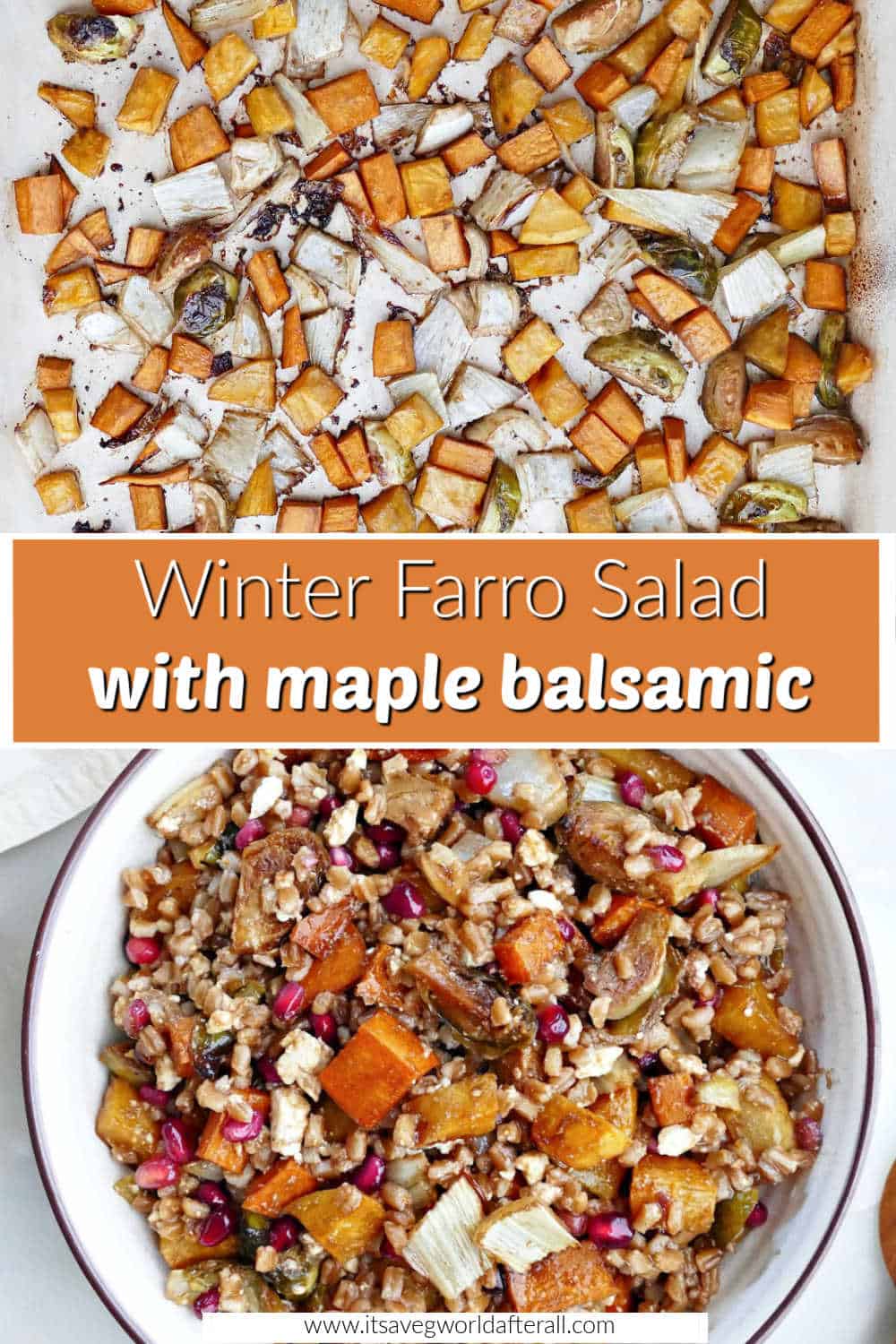 Winter Farro Salad It's a Veg World After All®