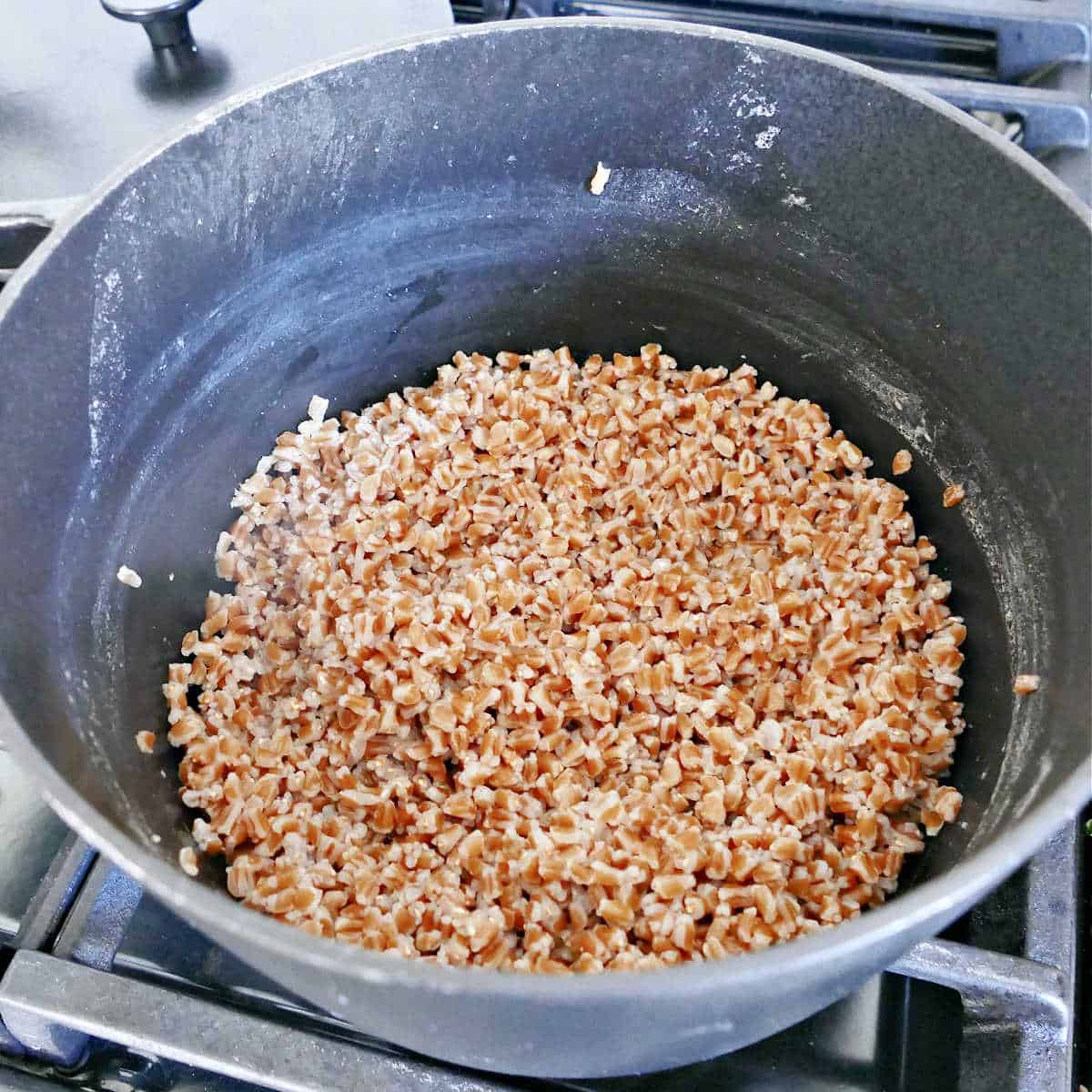 cooked farro in a large pot on the stove