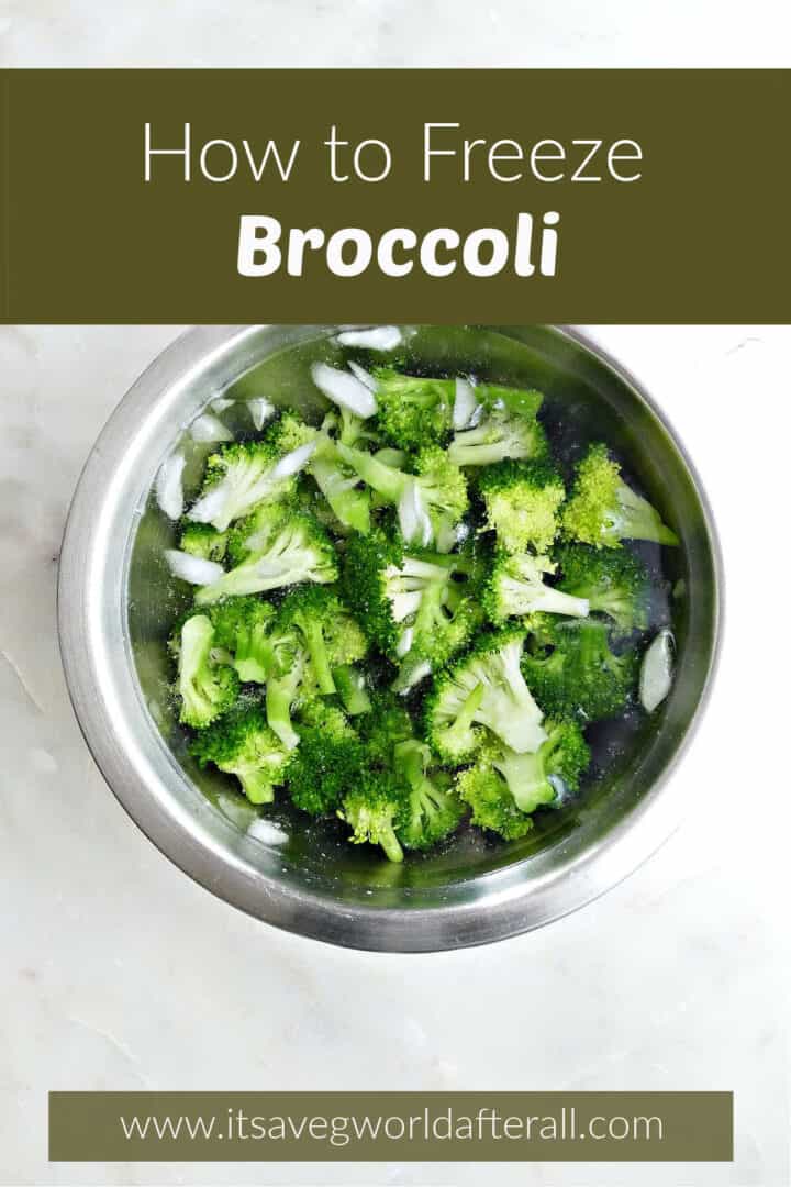 Freezing Broccoli: How to Preserve for Later - It's a Veg World After All®