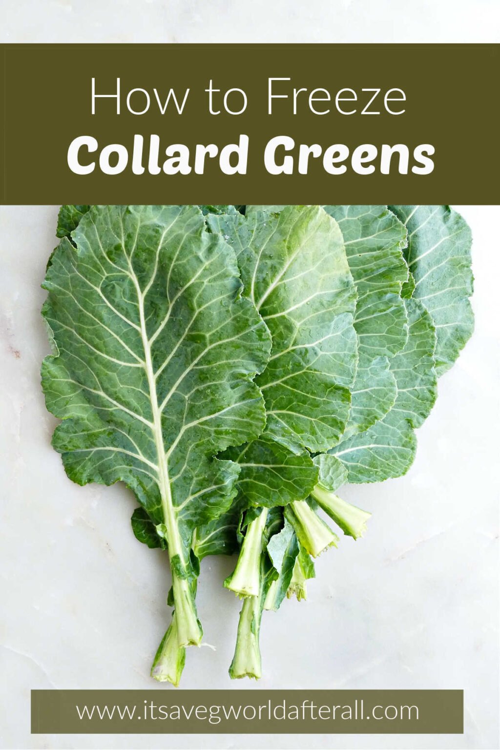 How to Freeze Collard Greens - It's a Veg World After All®