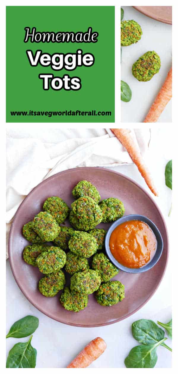 Homemade Veggie Tots (with 3 veggies!) It's a Veg World After All®