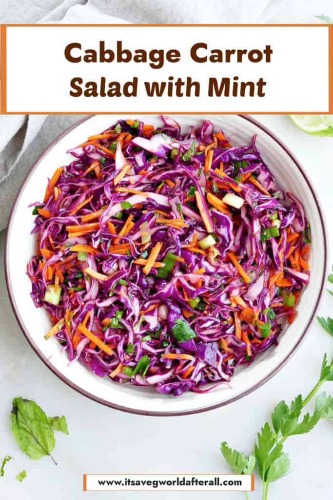A large bowl of cabbage carrot slaw with text overlay.