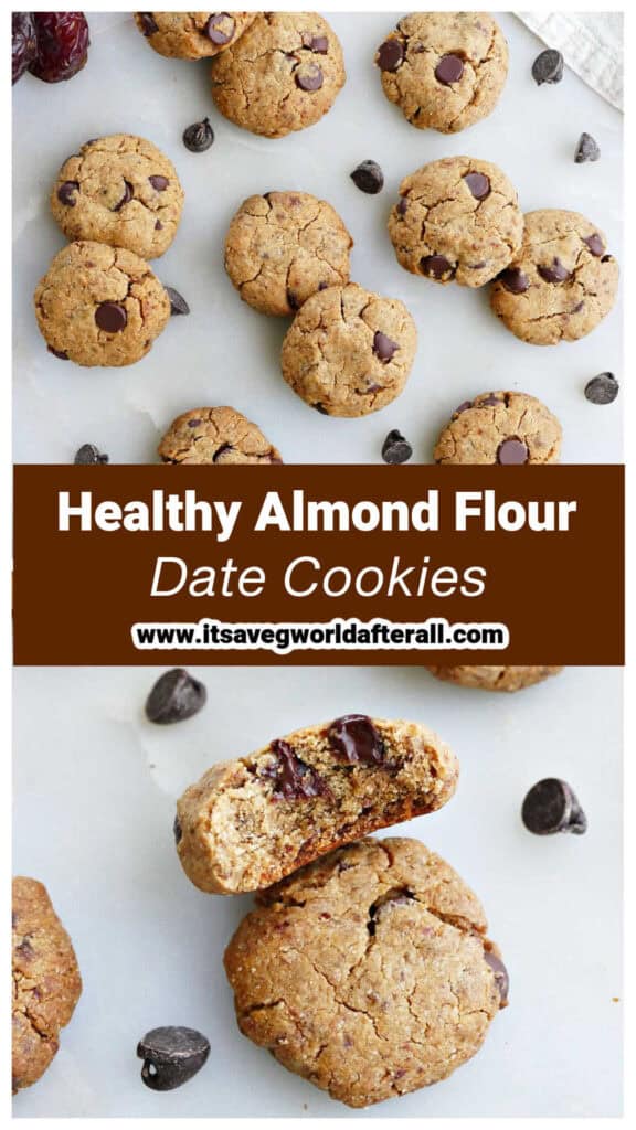 Healthy date cookies made with almond flour and chocolate chips.