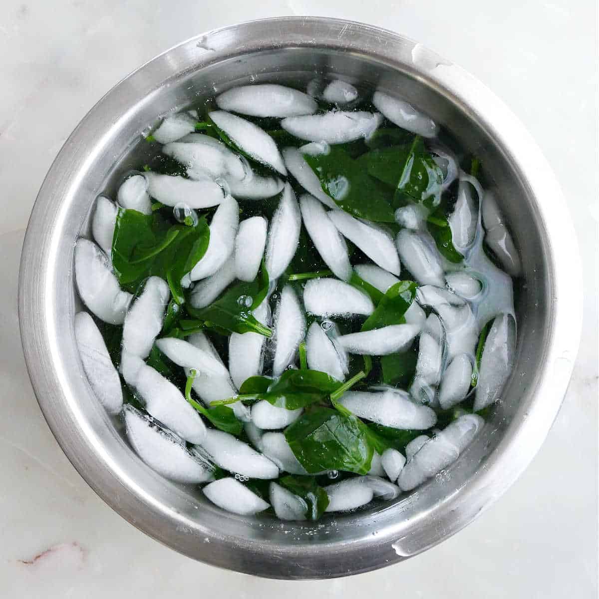 Cooked spinach in an ice bath in a stainless steel mixing bowl.