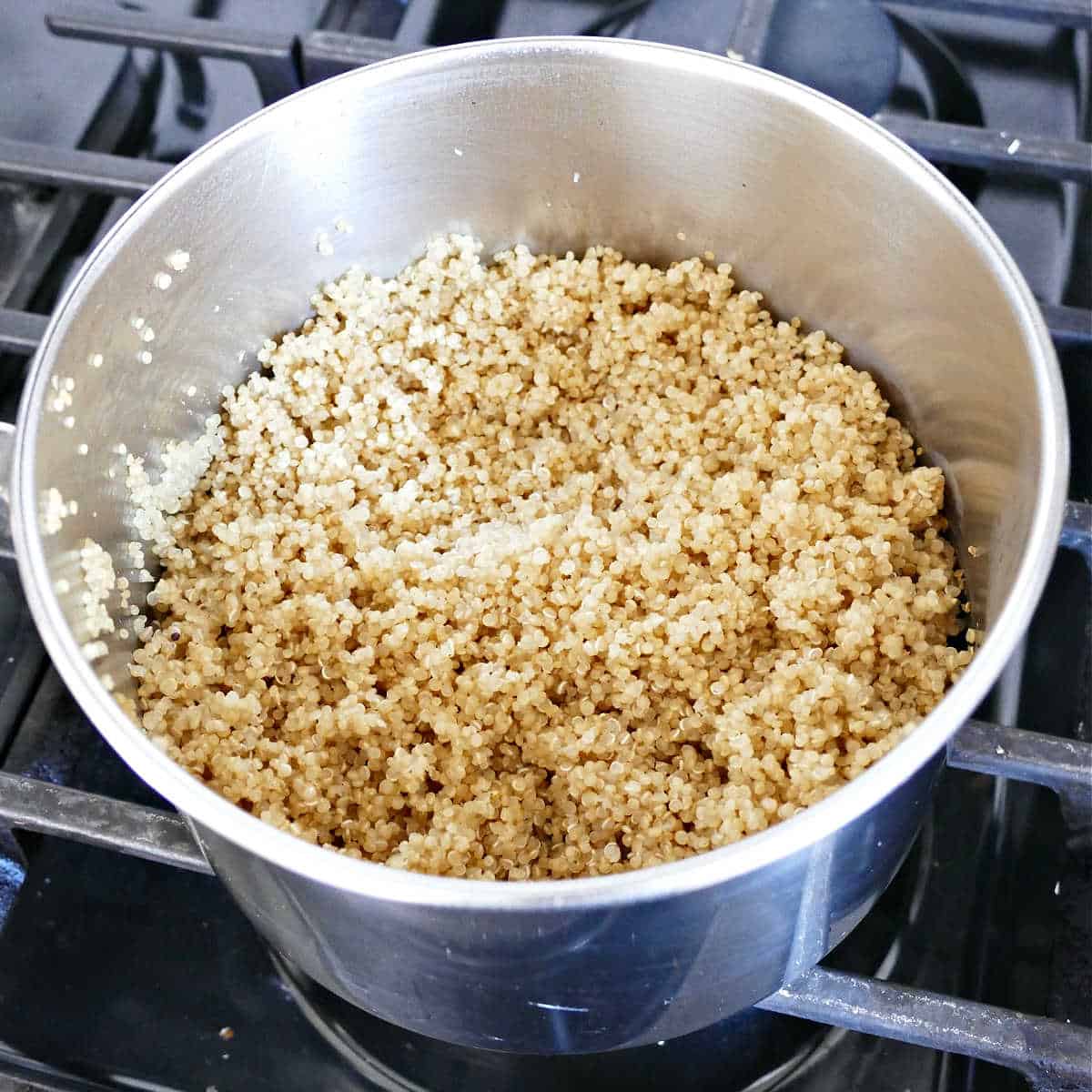 Cooking quinoa in a large pot on the stove.