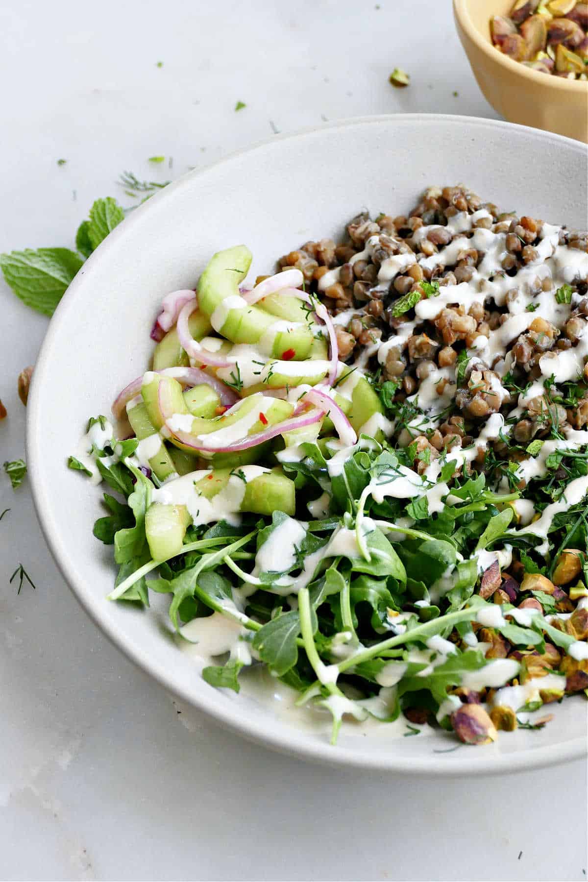 A close up of a lentil bowls with veggies.