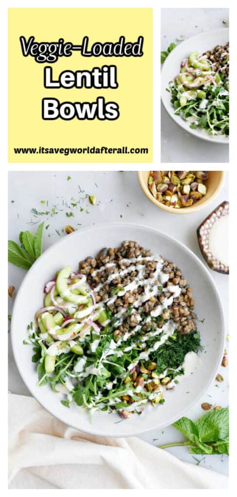 A large lentil bowl with veggies drizzled with dressing.