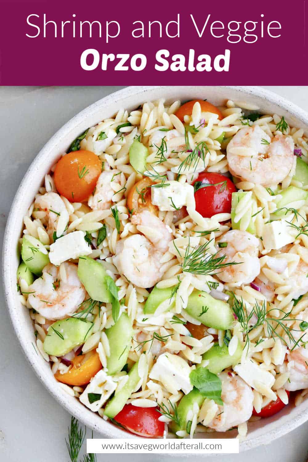 Shrimp Orzo Pasta Salad - It's a Veg World After All®