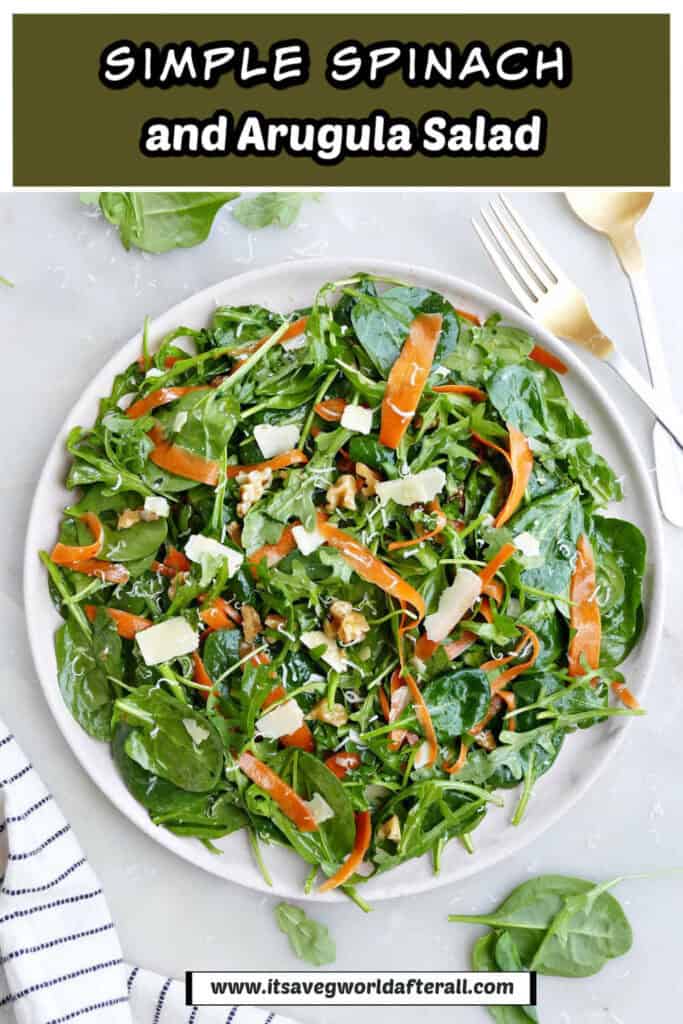 A large plate of spinach arugula salad next to a fork and dish towel.