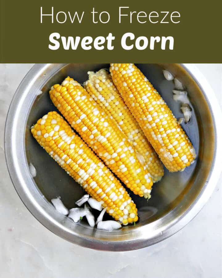 Blanched sweet corn cobs in a bowl of ice water under text box.