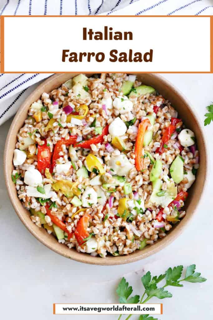 A large serving bowl of cold Italian farro salad.