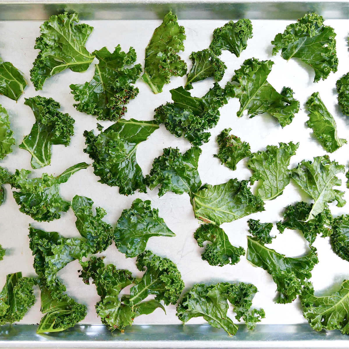 Seasoned kale chips on a baking sheet before going into the oven.