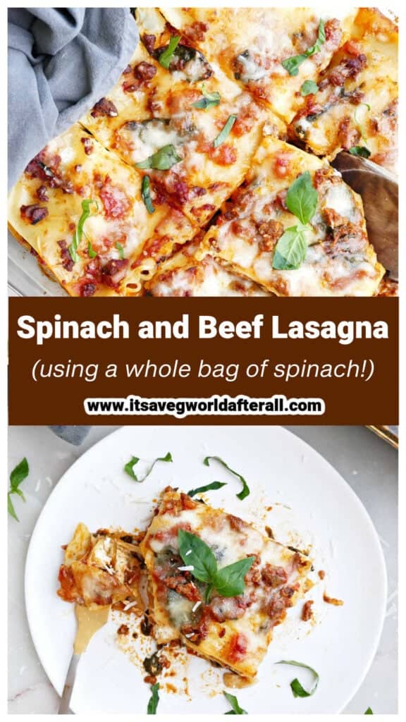 Spinach beef lasagna in a tray and on a plate separated by text box.