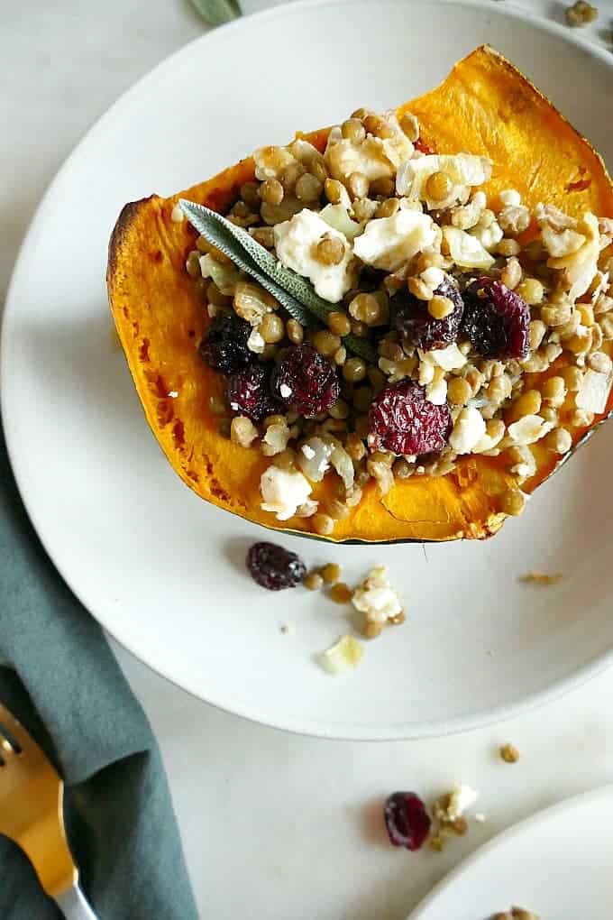 A plate with a overflowing lentil stuffed acorn squash on it. 