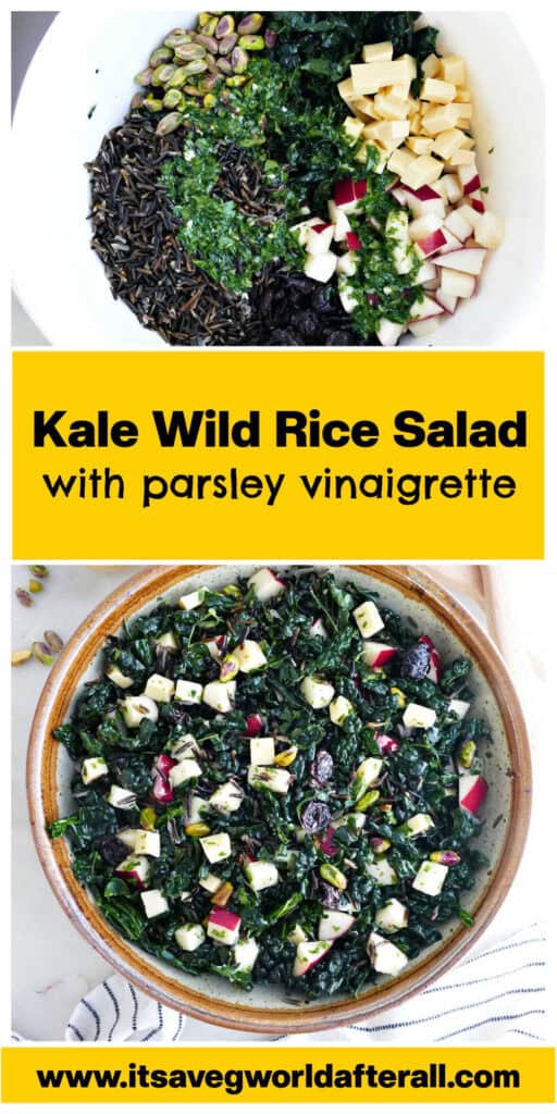 Ingredients for kale salad in a mixing bowl and a serving bowl separated by text box.