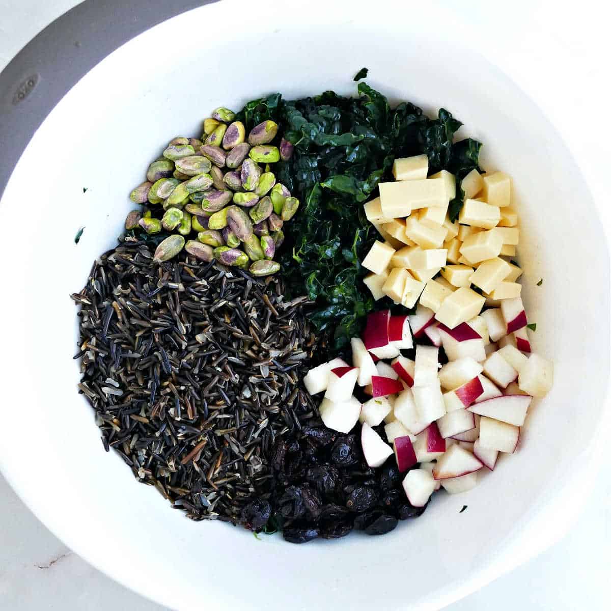 Kale, apples, cheese, dried cranberries, wild rice, and pistachios in a mixing bowl.
