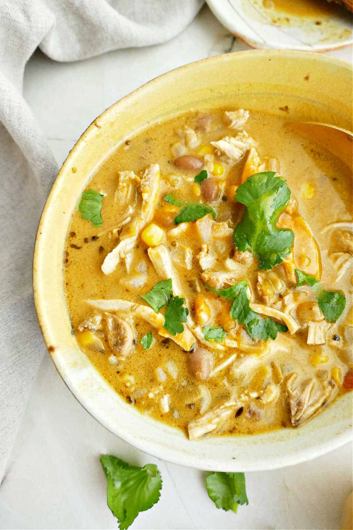 Pumpkin soup with chicken and cilantro in a bowl on a counter.