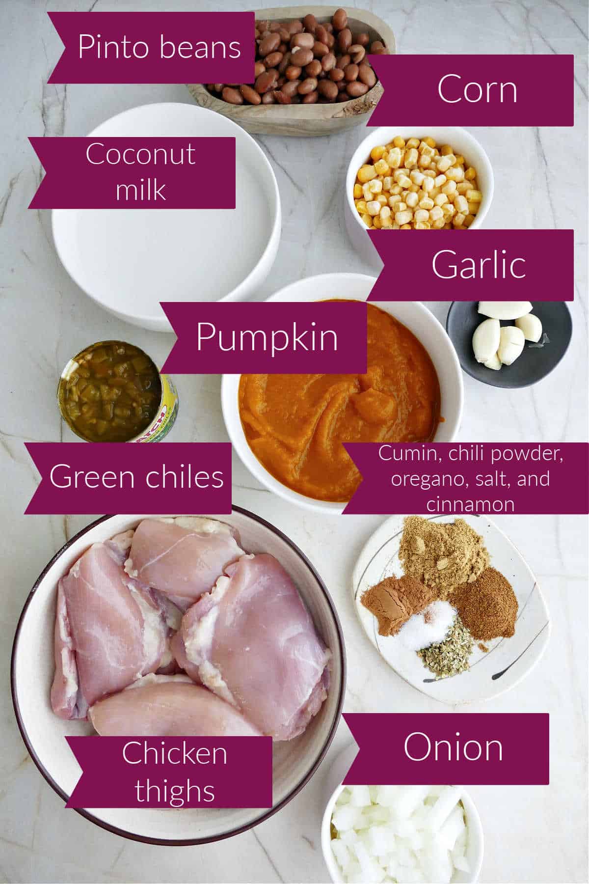 Coconut milk, beans, corn, garlic, pumpkin, spices, onion, chicken, and chiles with labels.