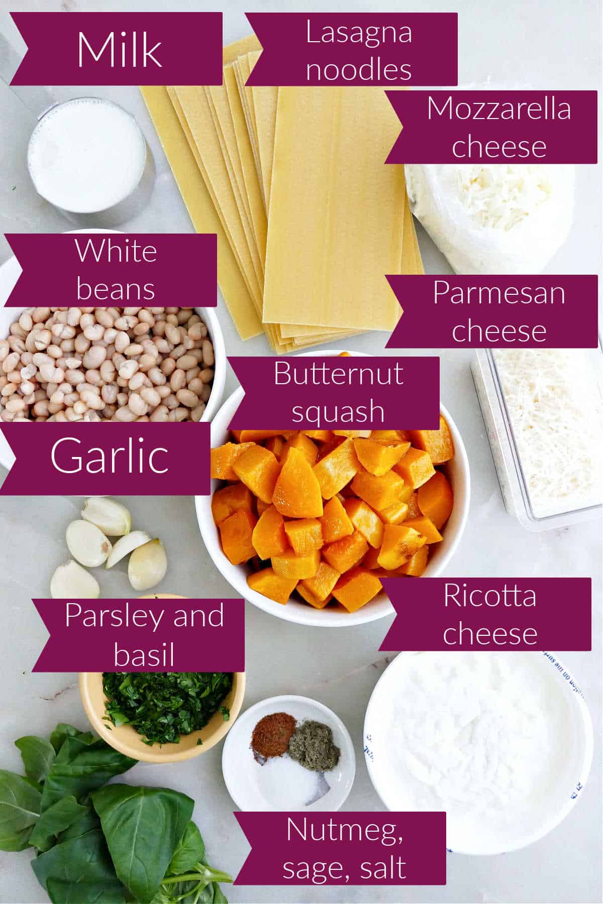 Milk, lasagna noodles, mozzarella, parmesan, beans, squash, garlic, parsley, basil, spices, and ricotta on a counter.