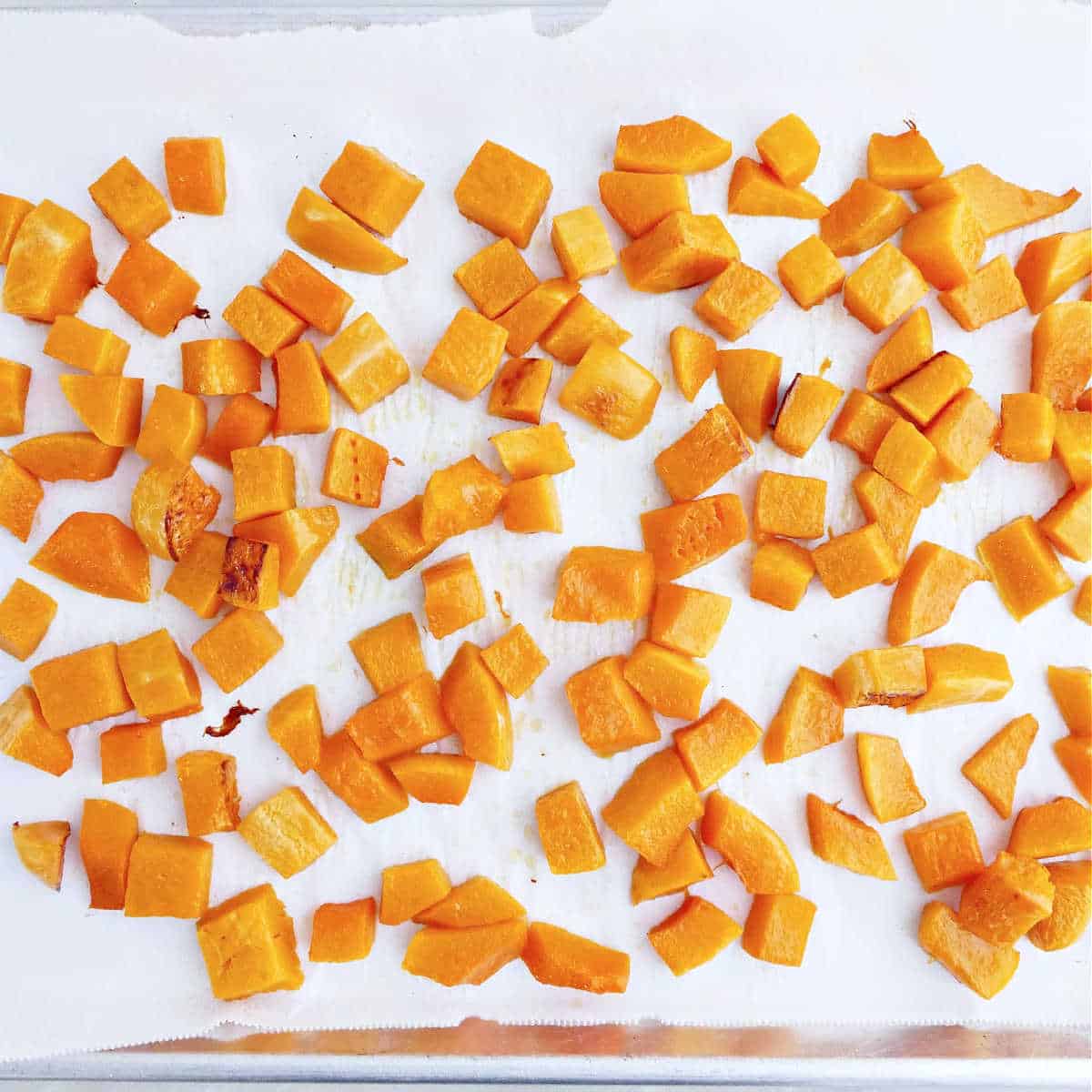 Roasted butternut squash cubes on a baking sheet after coming out of the oven.