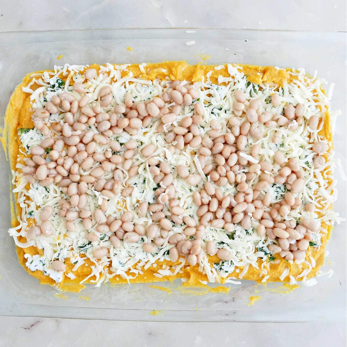 White beans sprinkled on top of cheese, sauce, and lasagna noodles in a dish.