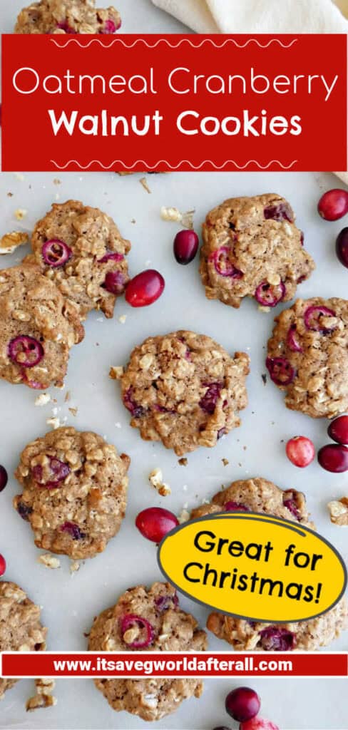 Oatmeal cranberry walnut cookies on a counter with text boxes for recipe name and website.