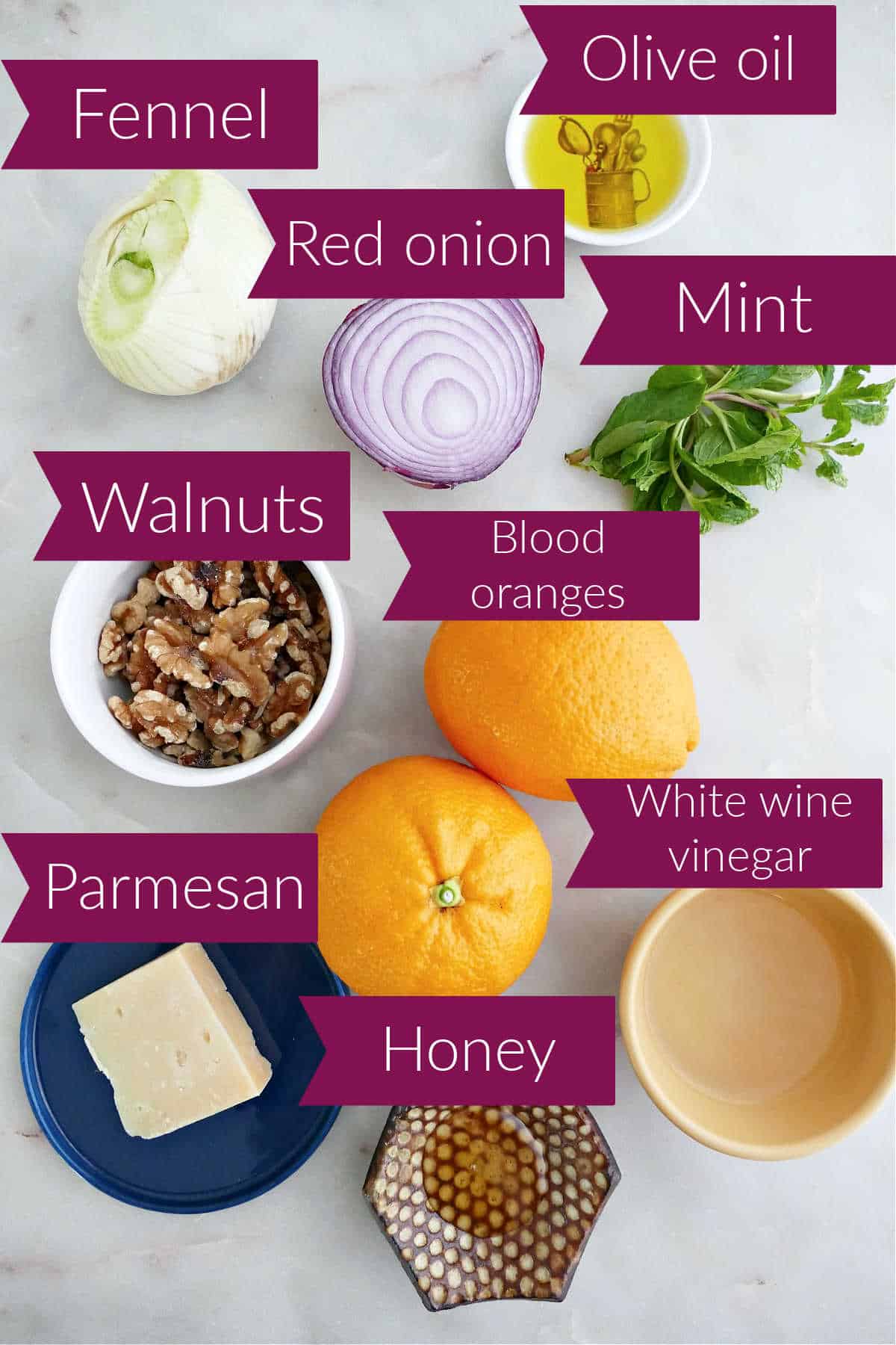 Fennel, red onion, olive oil, mint, walnuts, blood oranges, parmesan, honey, and vinegar on a counter.