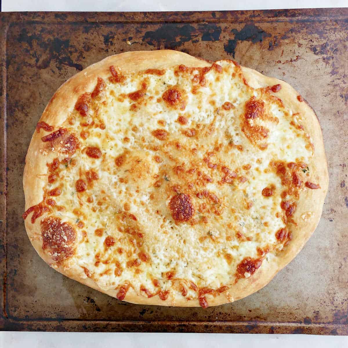 White pizza on a baking sheet after being cooked in the oven.