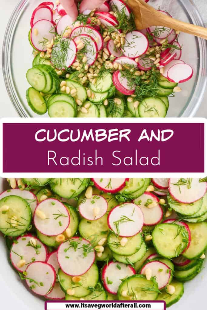 Salad ingredients and cucumber radish salad in a bowl separated by text box with recipe name.