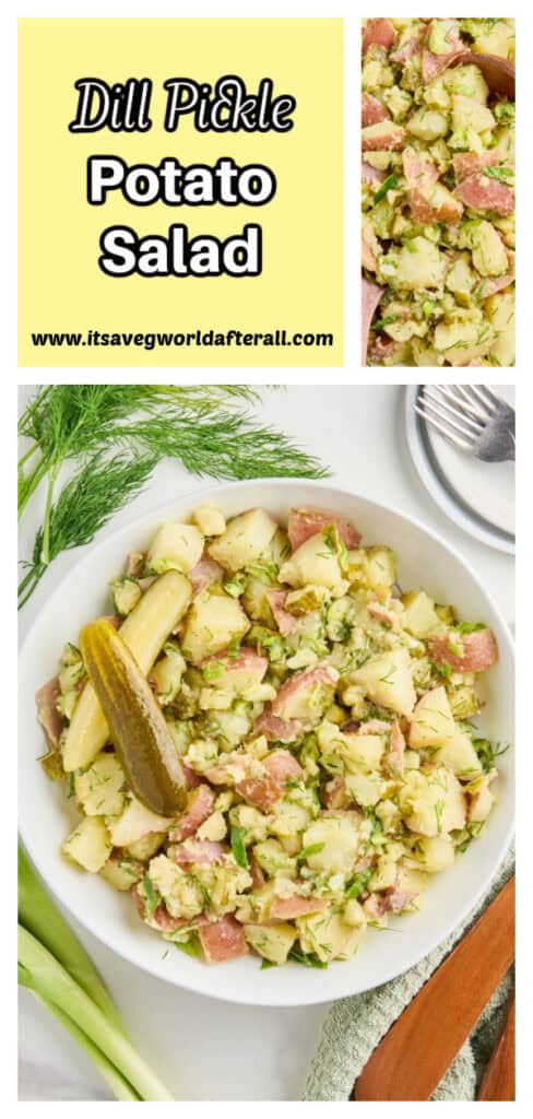 Potato salad in a bowl with text box for recipe name and website.