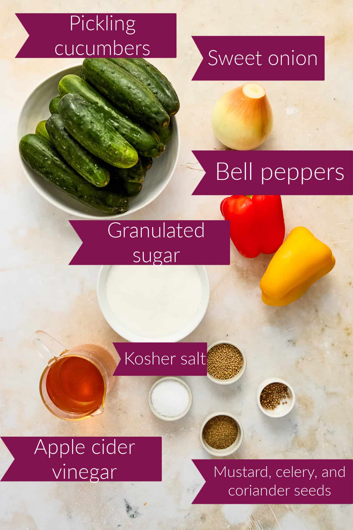 Pickling cucumbers, onion, peppers, sugar, vinegar, salt, and seasonings with labels on a counter.